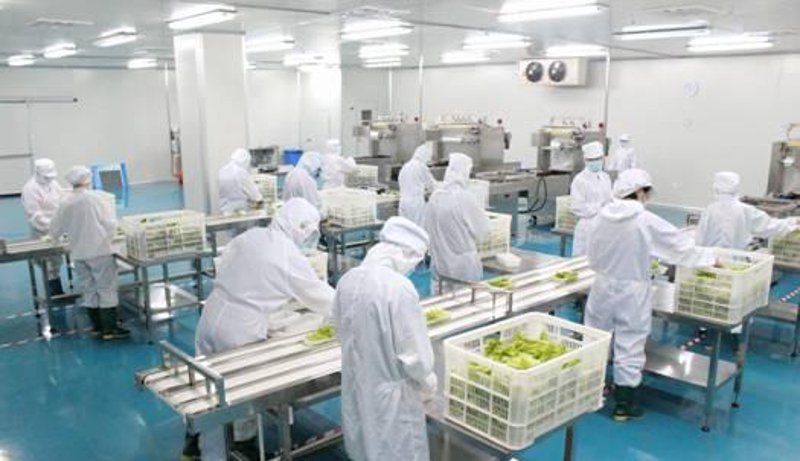 团餐配送行业:一场美味与效率的邂逅